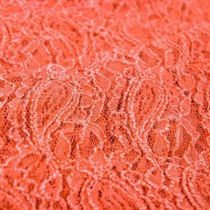 Masala Orange Stretchy Lace Fabric